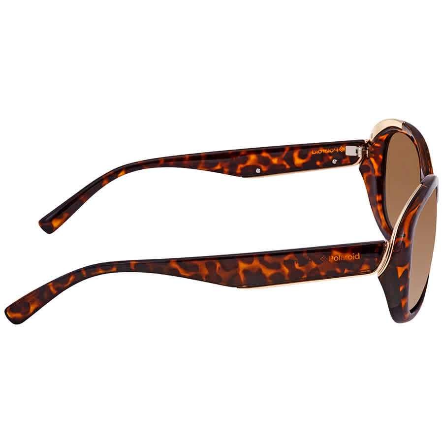 Polaroid Brown Plastic Sunglasses