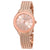 Anne Klein Rose Dial Ladies Watch 2208RGRG