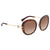 Bvlgari Divas' Dream Brown Shaded Sunglasses Ladies Sunglasses BV8196B 50413 53