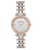 Anne Klein Silver Dial Ladies Two Tone Watch AK/3409SVRT