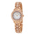 Anne Klein Mother of Pearl Dial Rose Gold-tone Ladies Watch 1492MPRG