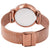 Skagen Hald Silver Dial Ladies Rose Gold-tone Mesh Watch SKW2714