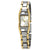 Anne Klein Silver Dial Ladies Watch 10-6419SVTT