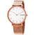 Skagen Hald Silver Dial Ladies Rose Gold-tone Mesh Watch SKW2714