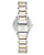 Anne Klein White Mother of Pearl Dial Ladies Watch 3385MPTT