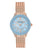 Anne Klein Light Blue Dial Ladies Watch 2208LBRG