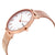 Skagen Hald Silver Dial Ladies Rose Gold-tone Mesh Watch SKW2714